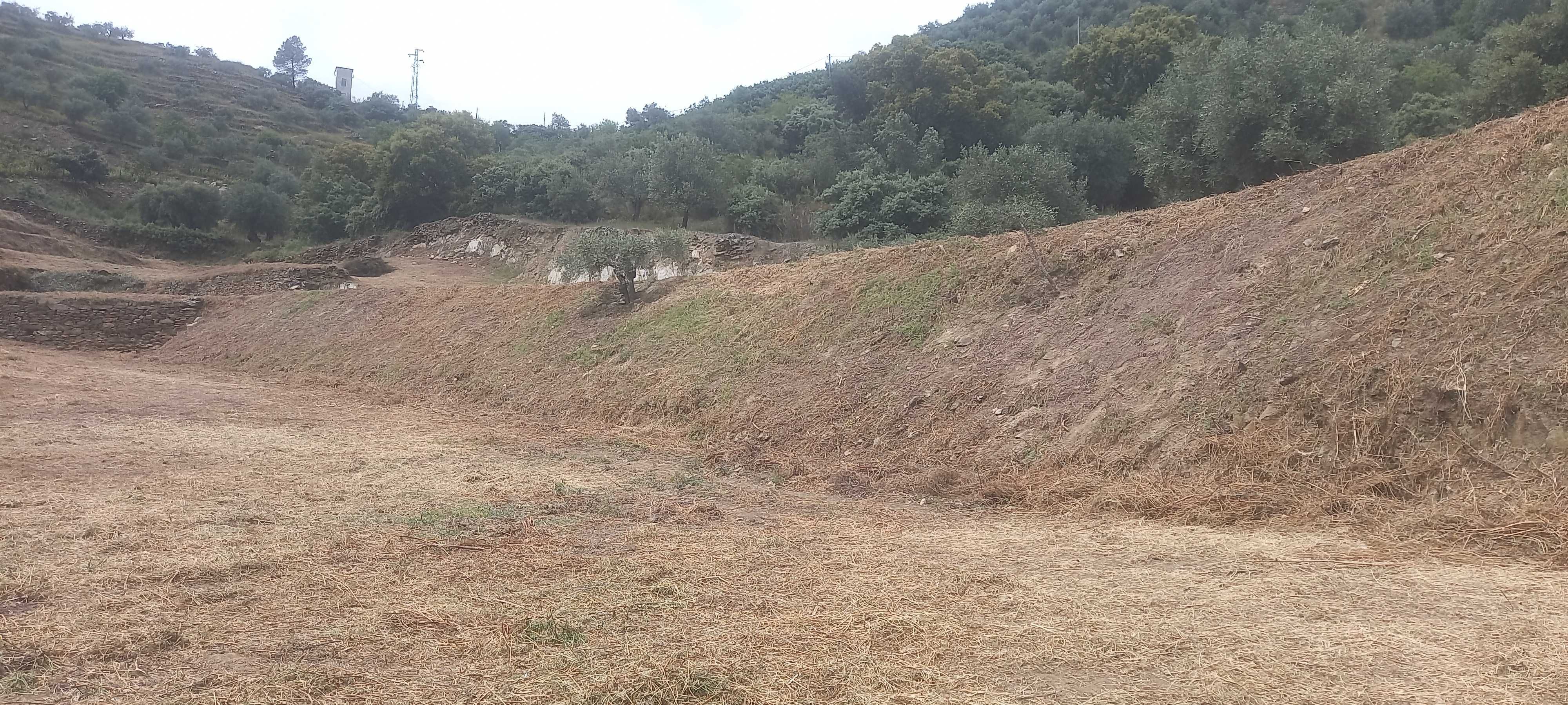 Terreno Rustico com olival em Coleja, Carrazeda de Ansiães