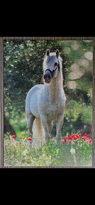 Продам пазлы 1000, 1500