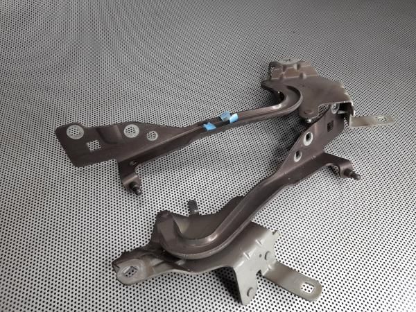 Dobradiça capot RENAULT Scénic III (JZ0/1_)