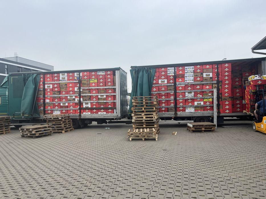 Kartony po bananie sprzedam