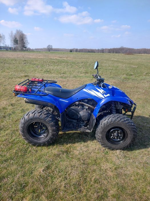 Yamaha Wolverine/Raptor/Grizzly 350