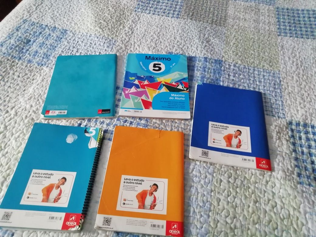 Cadernos de actividade 5 ano