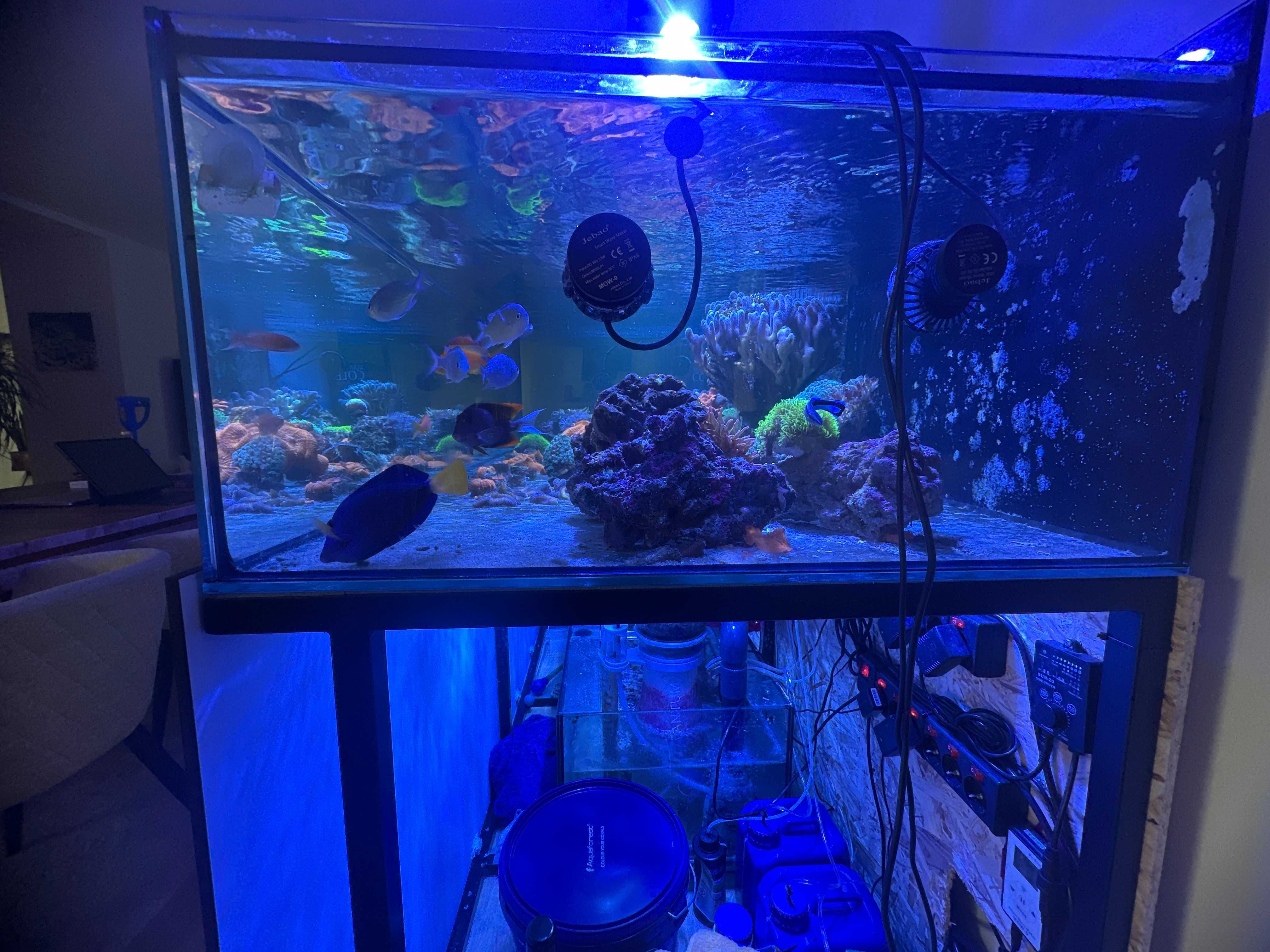 Vendo Aquario Grande 2 metros