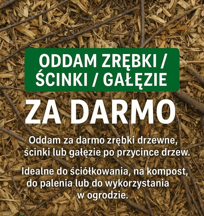 Oddam zrębki / ścinki / gałęzie za darmo