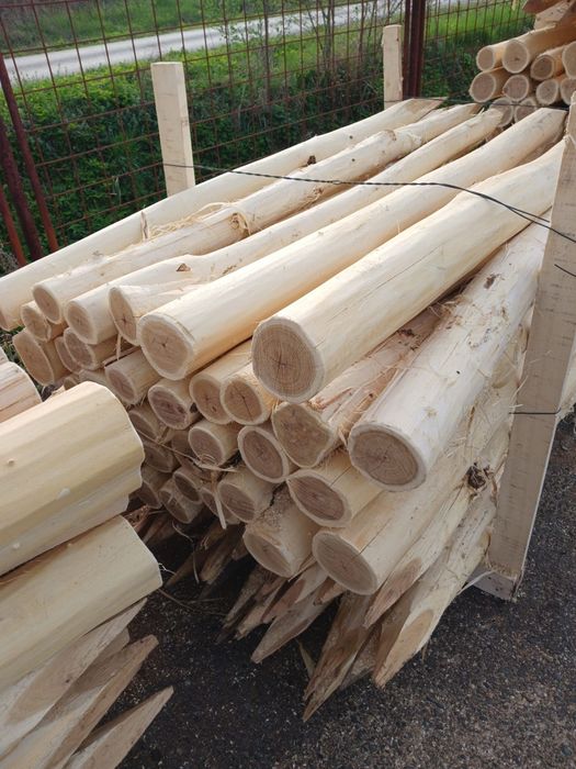 Akacja korowana 10/12 x250cm pale kołki słupy