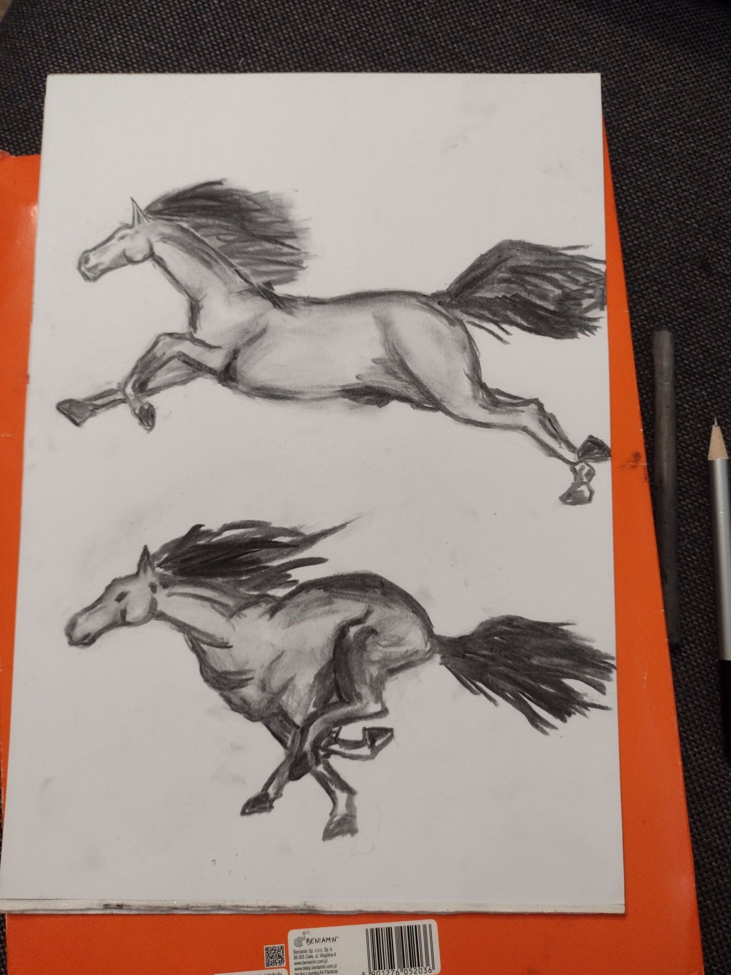 Sprzedam rysunek konia