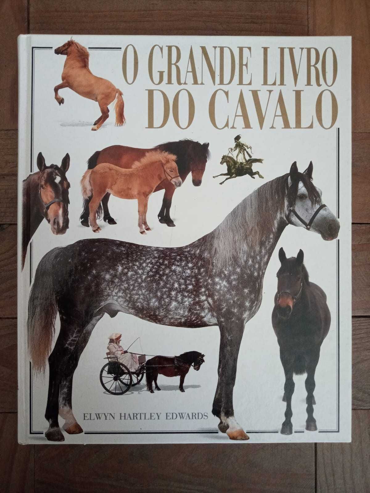 Livro " O grande livro do cavalo"