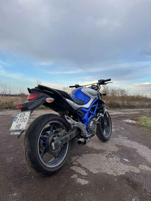 Suzuki gladius 650!