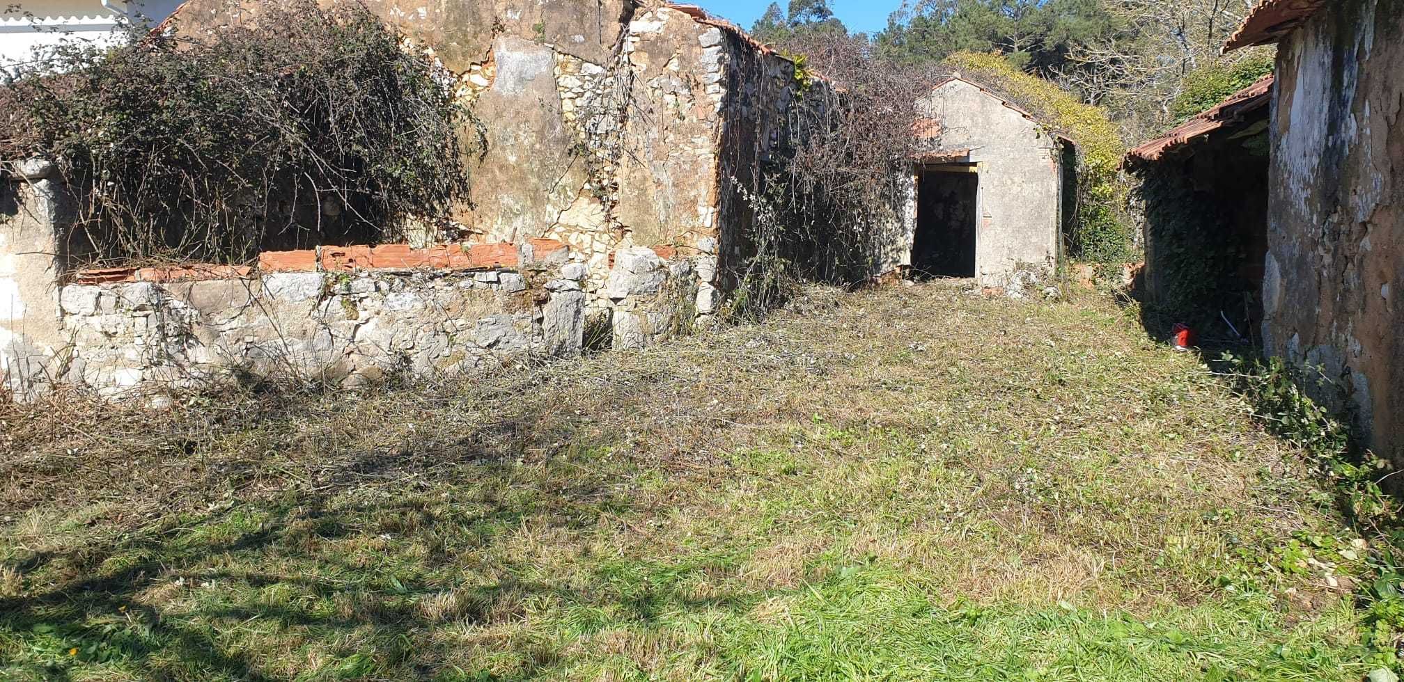 Terreno 1600 m² com ruína – São Mamede, Batalha