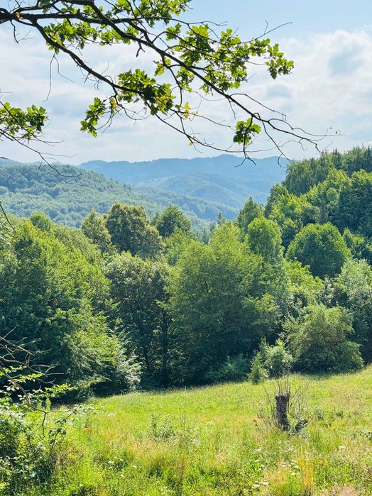 Продаж земельної ділянки біля лісу по вул. Лісна (без комісії).