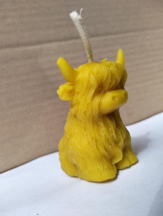 świeca z wosku pszczelego krowa, krówka