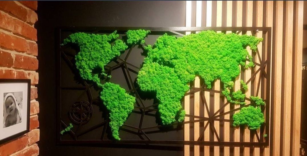 Obraz Mapa Świata Mech Chrobotek