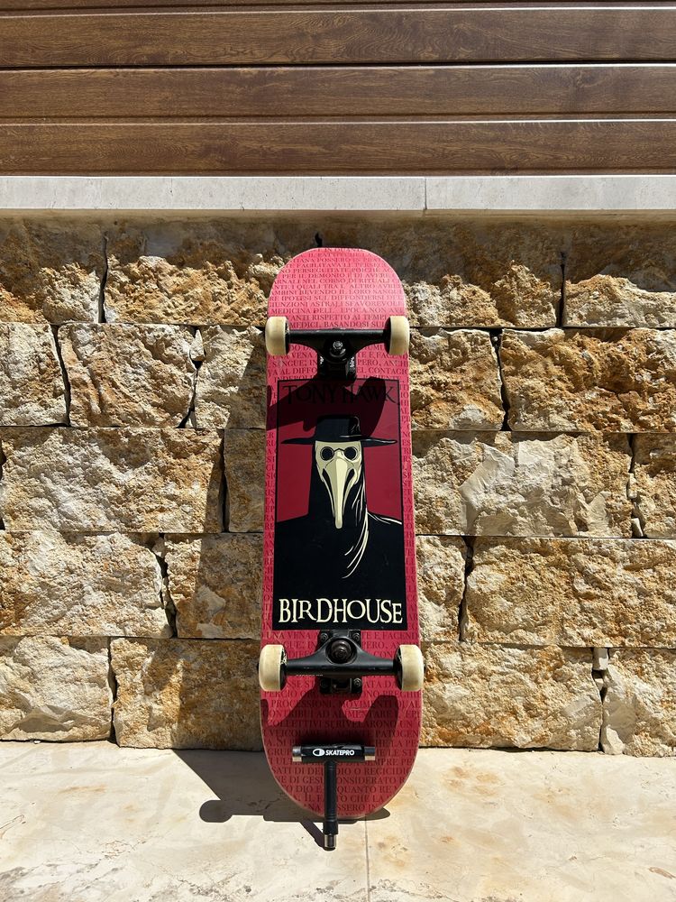 Skate Birdhouse / Tony Hawk