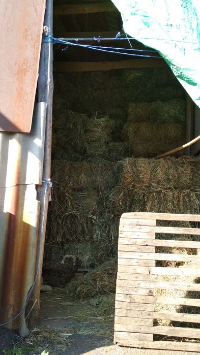 Сіно лугове, Солома ячна і пшенична, Сено