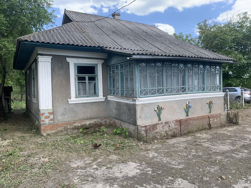 Приватний будинок ,літня кухня ,комора шопа для живності