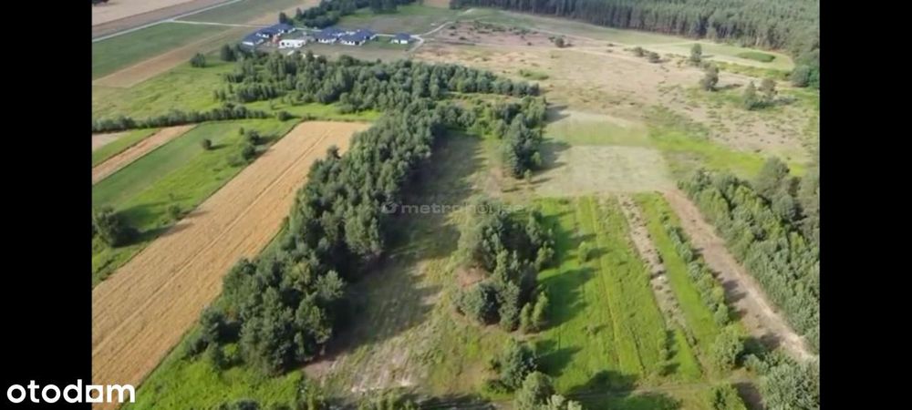 Działka rolna, położona w otulinie lasu