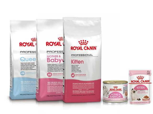 13 кг! ROYAL CANIN Для Мейнкунів сухий корм 13 кг по 323 грн за кіло