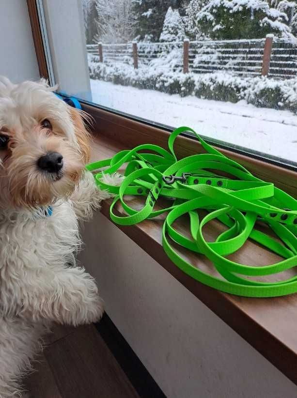 Smycz dla psa linka lonża wodoodporna z MOSIĄDZEM Shelbypets 5M 1.6CM