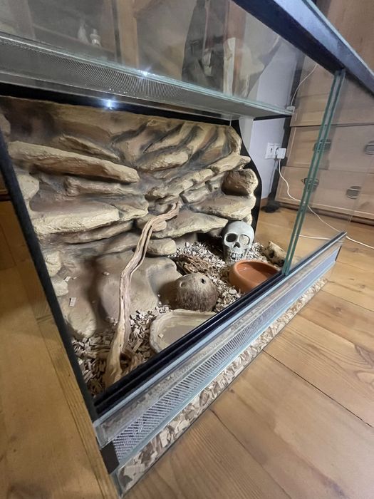 Terarium dla gekona i nie tylko. Pełne wyposażenie