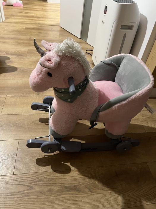 Konik na biegunach bobo san