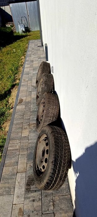 Opony zimowe Dębica Frigo2 175/65/R14