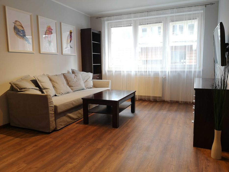 Duże 2-pokojowe mieszkanie przy Parku Kasprowicza!