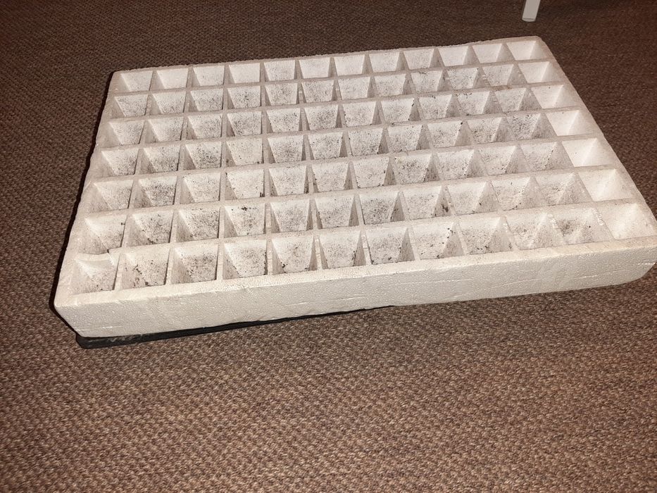 Tabuleiro sementeira 84 plantas