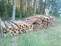Sprzedam suchą sosnę na opał