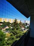 Siatka przeciw ptakom, zabezpieczenie dla kota na balkon, okno