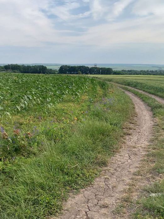 Продам землю, с.Гаврилівці