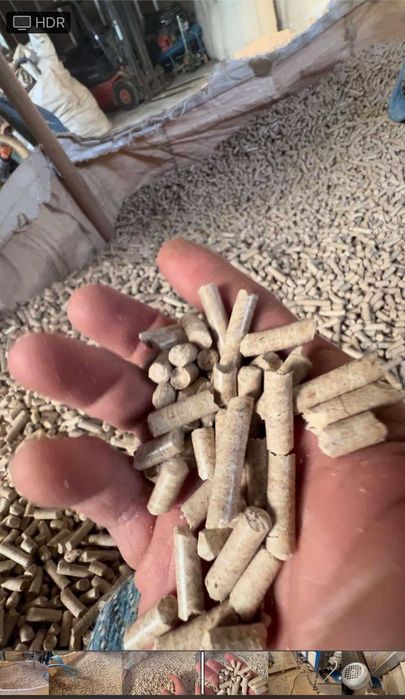 Pellet promocja sosna świerk dąb