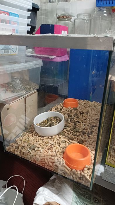 Akwarium dla gryzonia chomika/myszki i innych 30x35x50cm