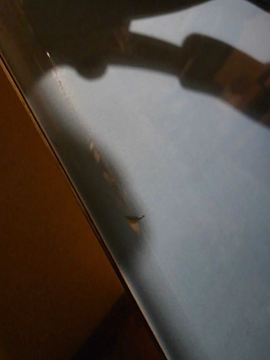 Deska snowboardowa 150cm z butami