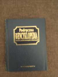 Podręczna mini encyklopedia
