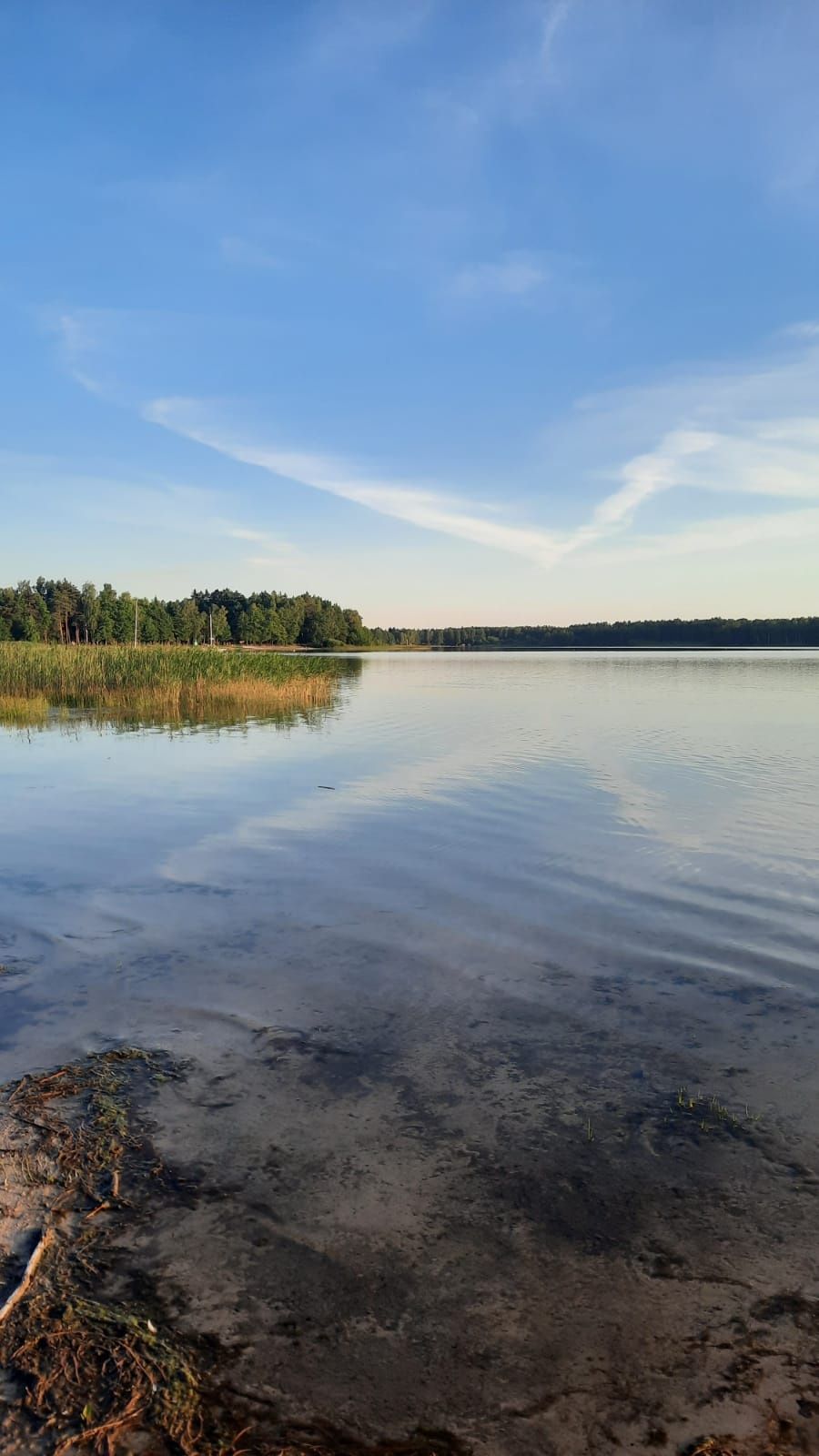 Domek Letniskowy 6 os. J.Piaseczno,powiat Łeczynski