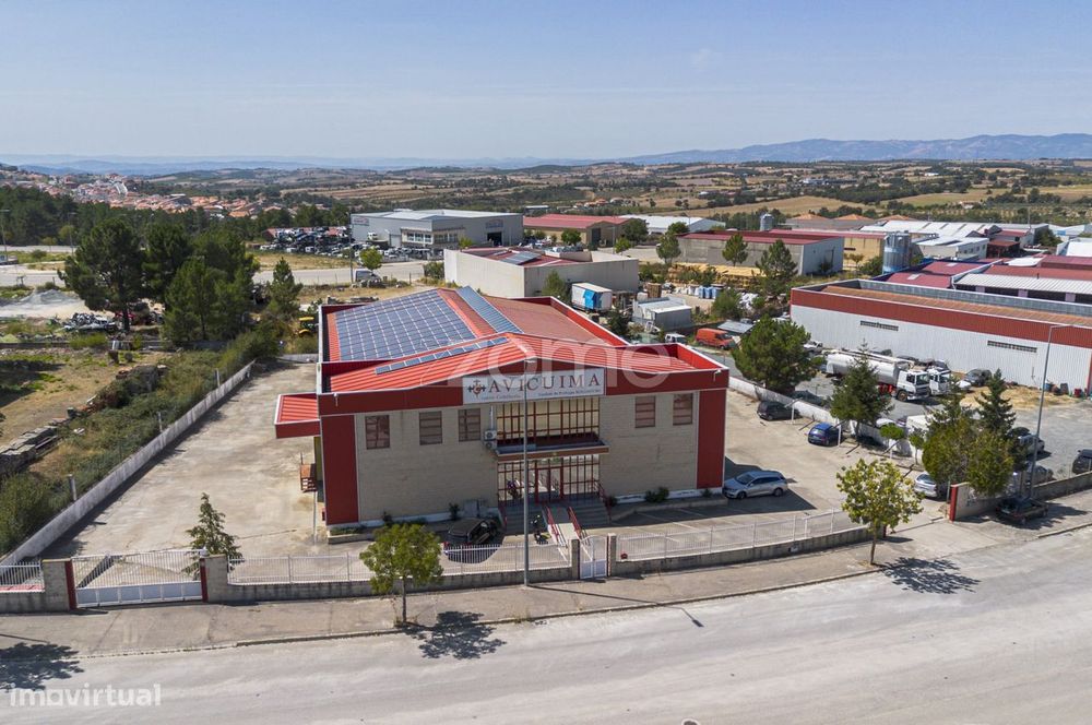 Oportunidade de Investimento, em Mogadouro