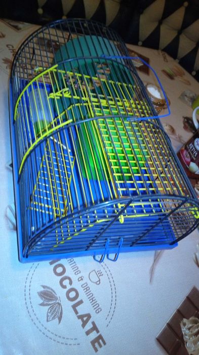 Клетка клітка для гризун хомяк джунгарик домик колесо поилка лестница