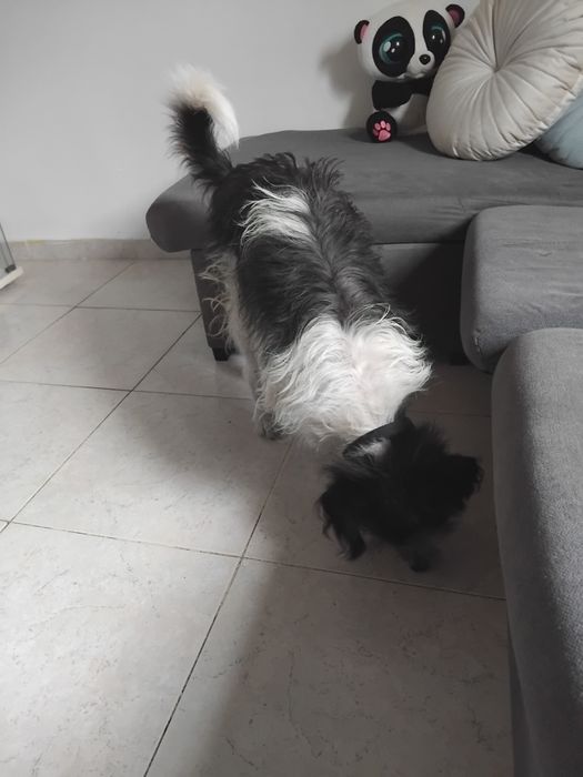 Doação  de um doação