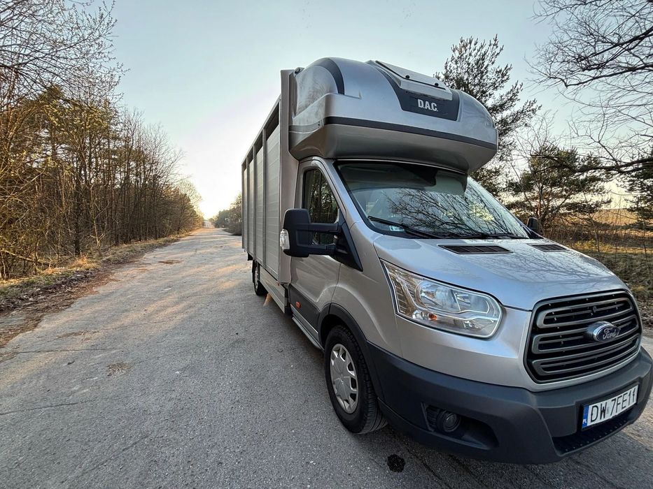 Ford Transit  DO zywca / zwierzat / bydla / trzody chlewnej