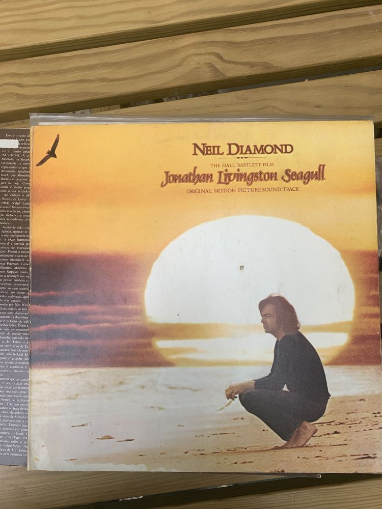 Discos de vinil variados