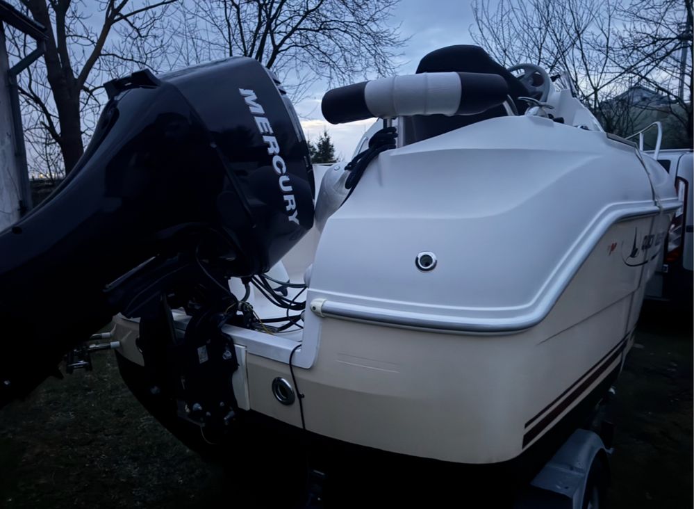 Quicksilver Mercury 50 EFI