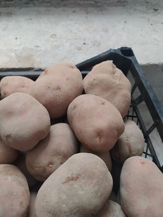 Продам дуже гарна