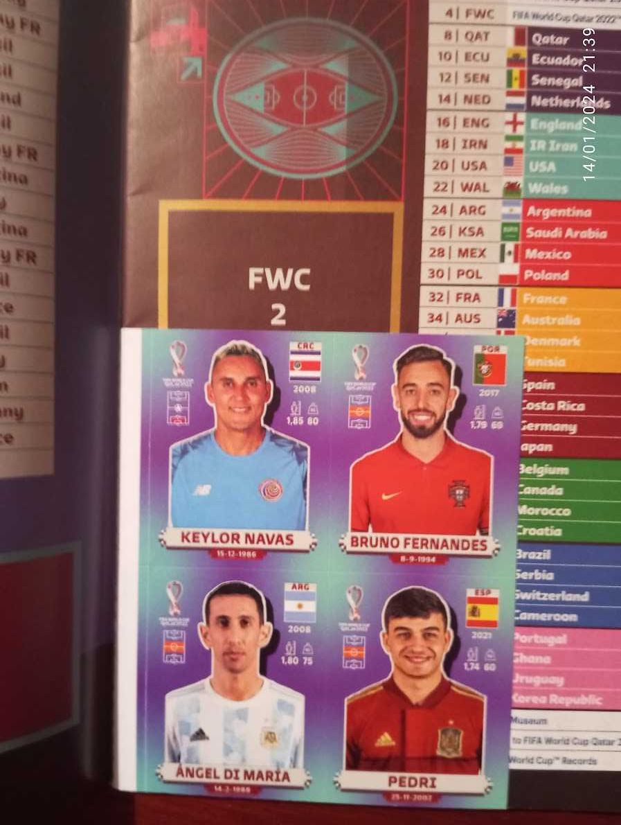 World Cup Qatar 2022