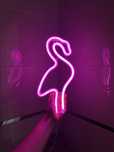 Flaming Led Neon