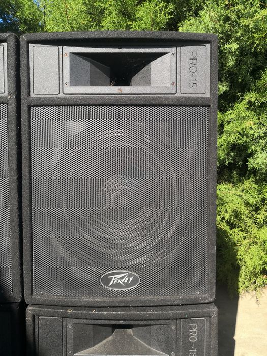 Topos Peavey Pro 15