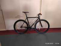 Ostre koło fized gear colossi