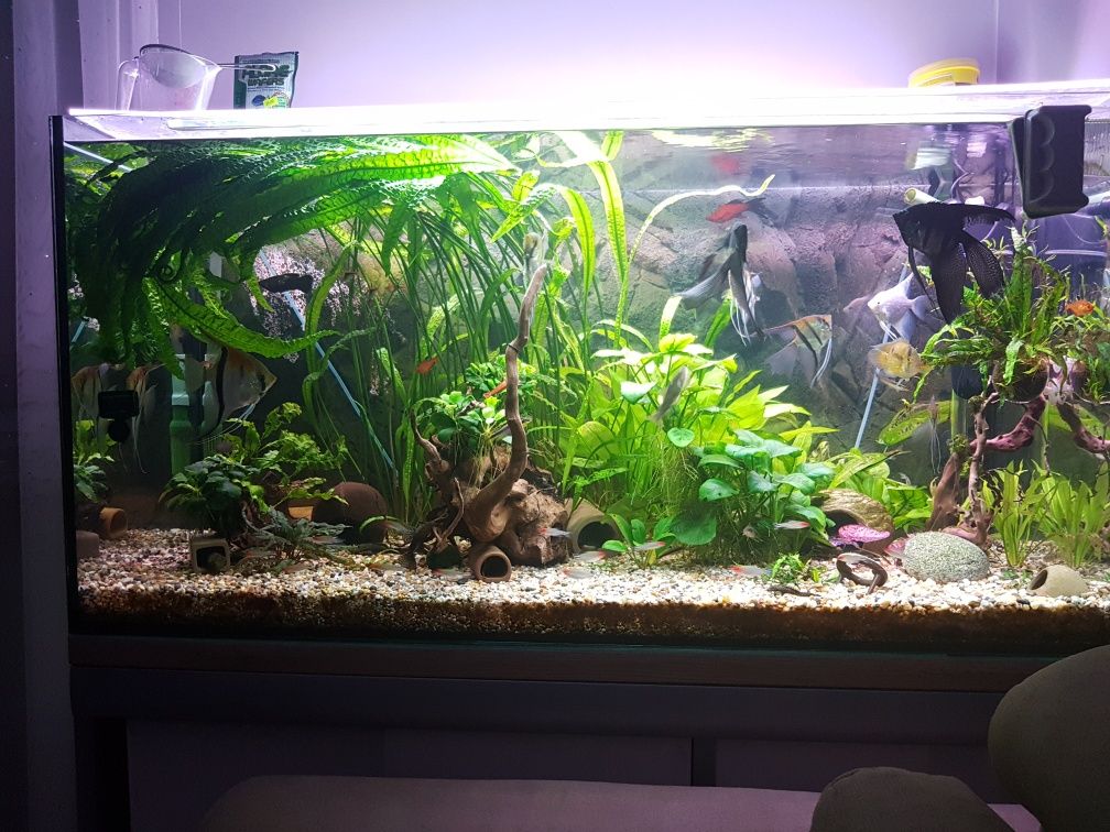 Sprzedam akwarium 360 litrów