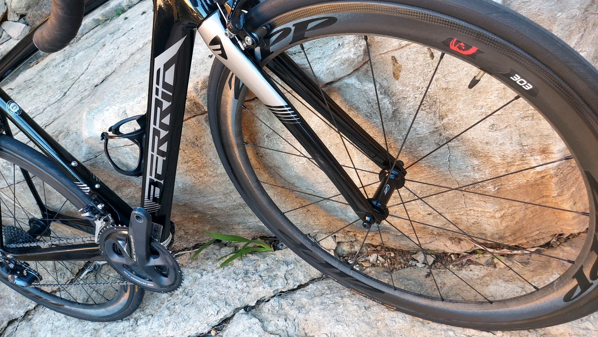 Rodas Zipp303 carbono