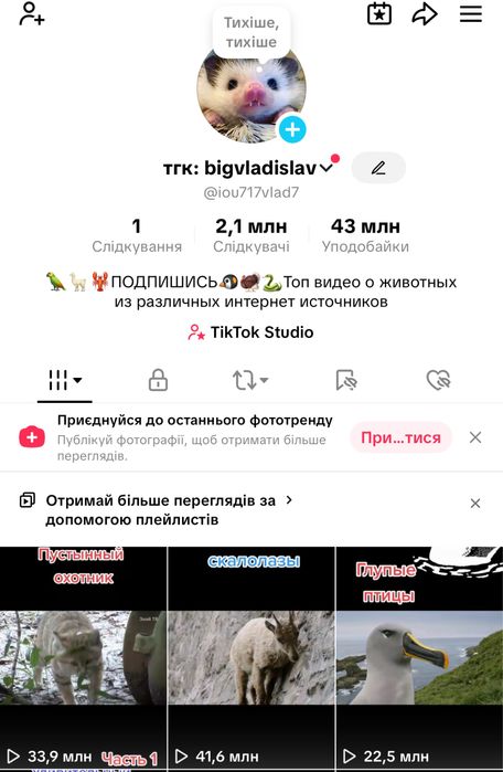 Аккаунт тик ток 2.1млн