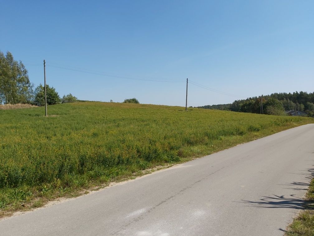 Działka siedliskowa 6060 m2